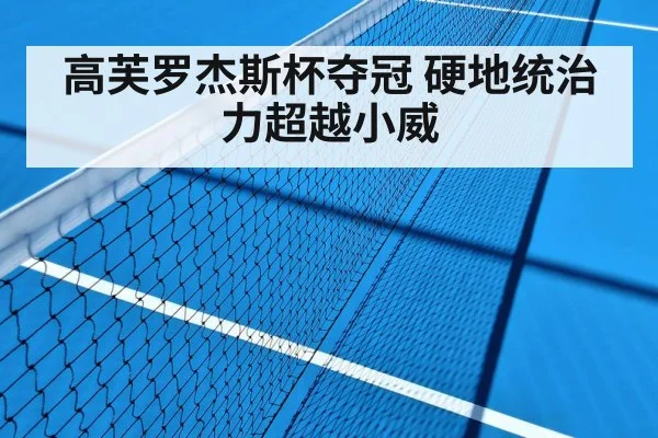 高芙罗杰斯杯夺冠 硬地统治力超越小威