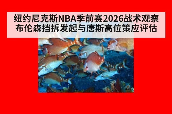 纽约尼克斯NBA季前赛2026战术观察 布伦森挡拆发起与唐斯高位策应评估